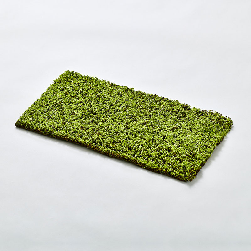 MOSS SHEET  L