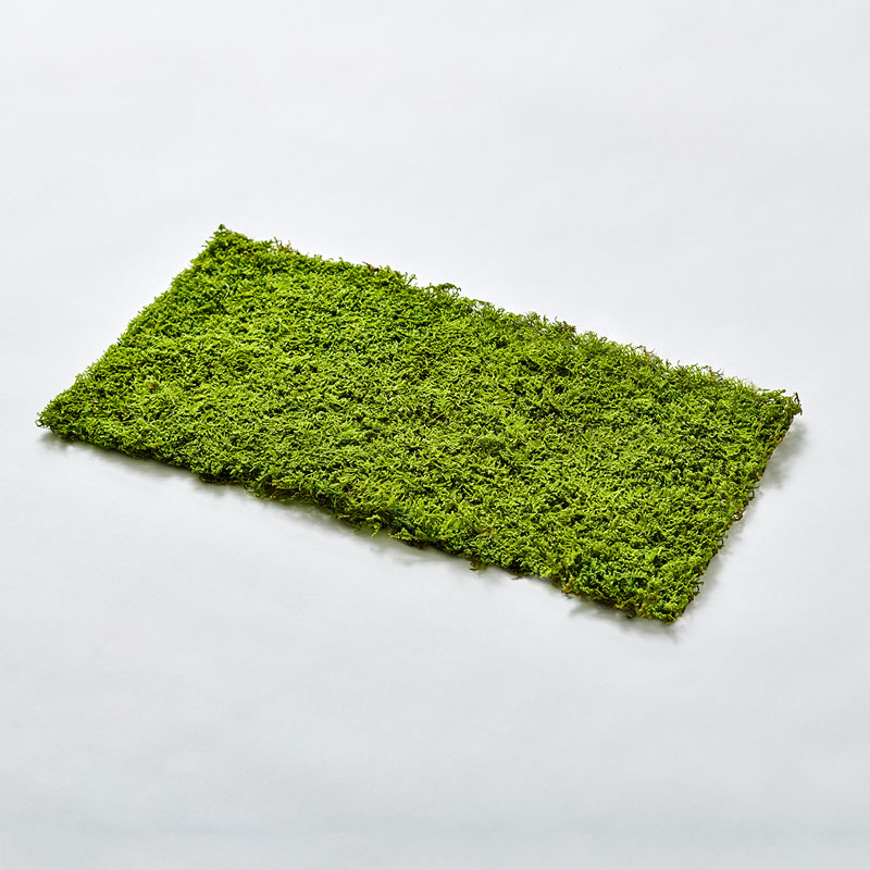 MOSS SHEET L