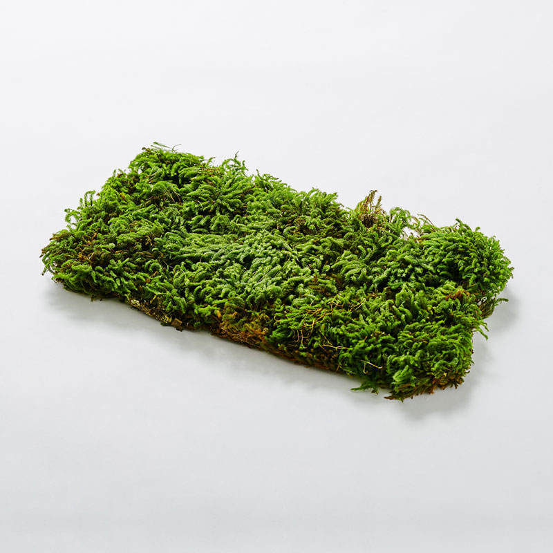 MOSS SHEET L