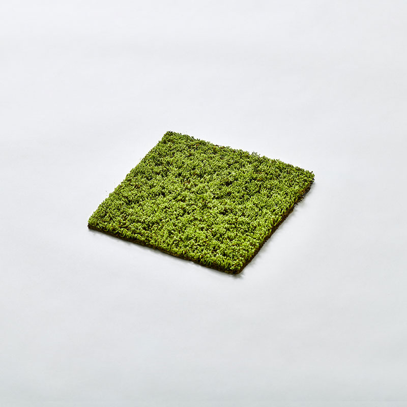 MOSS SHEET S