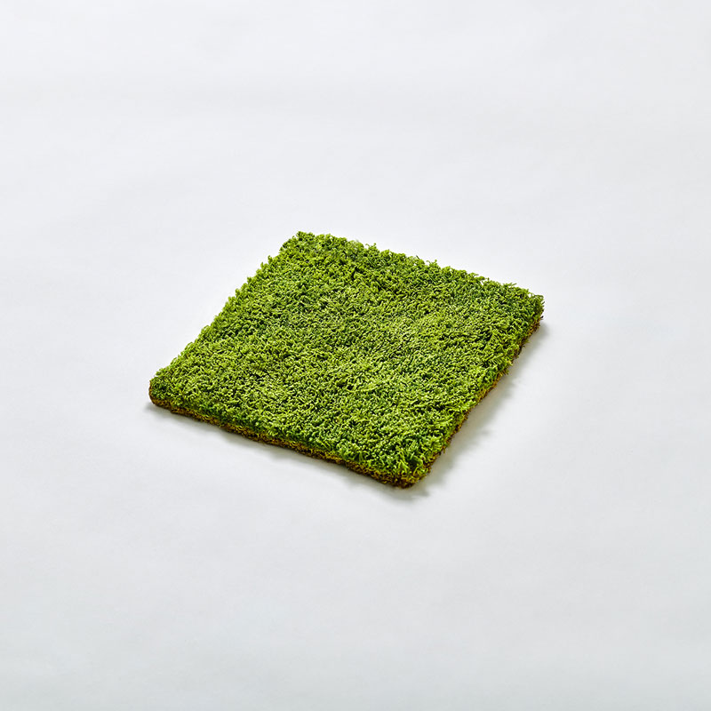 MOSS SHEET S